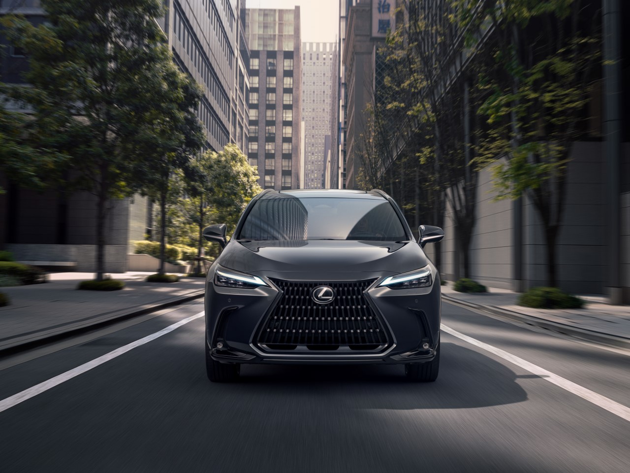 Lexus podczas jazdy miejską ulicą, widok z przodu